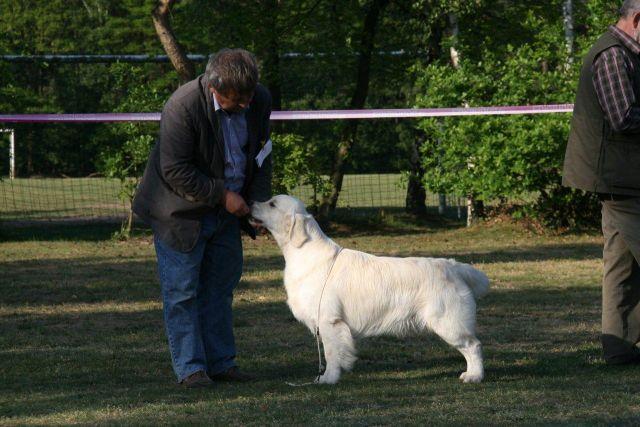 gal/Boys/Itou/WHISTLESTAR__S_ITOU_CAC-_BOB_BRC_SHOW_2.jpg