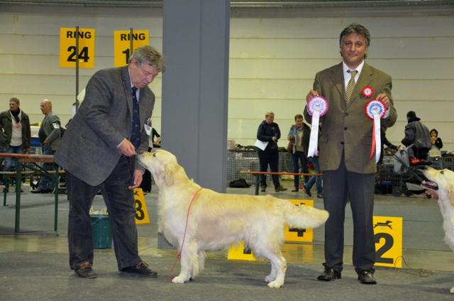 gal/Boys/Lambic/J__Ch__Whistlestar__s_Lambic_CAC-CACIB_Luxembourg_29-3-15.jpg