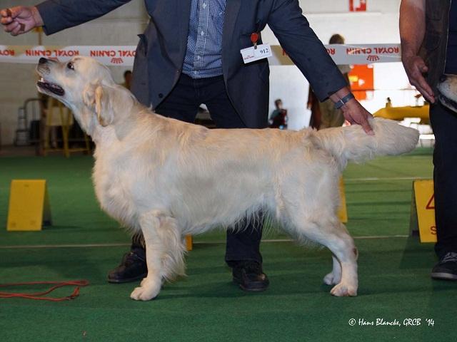 gal/Boys/Lambic/Whistlestar__s_Lambic_Li__ge_19-7-14.jpg