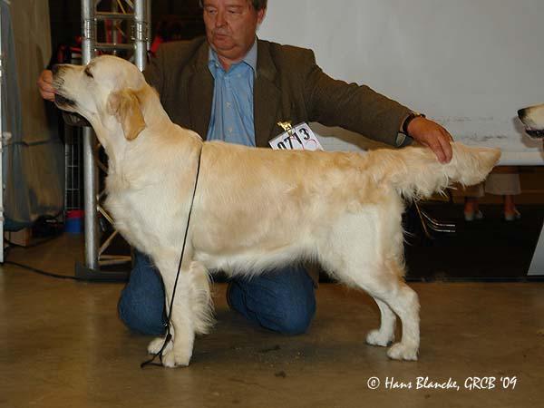 gal/Girls/Gilda/Whistlestar__s_Gilda_Best_Junior_golden_Lommel.jpg